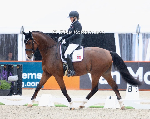 Paralympic champion in 2004 and 2016, Ann Cathrin Lübbe, representing Norway on the SWB Lucelli (by Bocelli x Saigon).