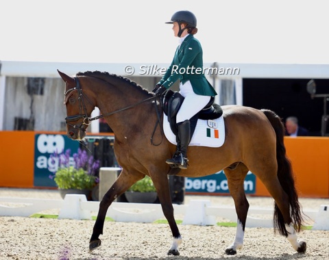 The 14-year-old Hanoverian D.C.I. Cerruti is a new championships ride for Jessica McKenna