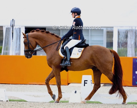 Despite a strong wind blowing, the 10-year-old Westfalian stallion  Fonq  kept his cool on Wednesday.