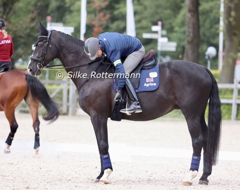…while Mari's trainer Rob Waine is making her gorgeous Gribaldi mare Athene Lindebjerg ready