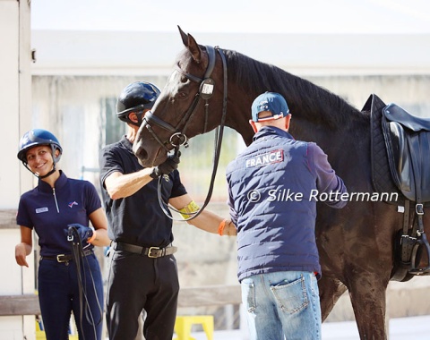 New kid on the block Zeus de Malleret made ready for Chiara Zenat