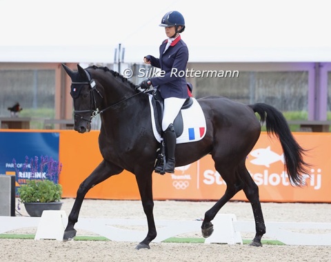 With Swing retired, France’s talented Chiara Zenati has a new ride in the Oldenburg  Zeus de Malleret (by Zonik)