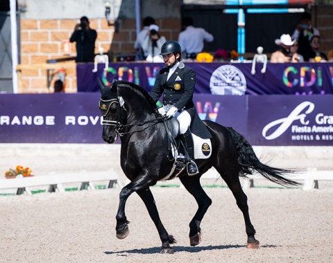 Jose Luis Enrique Padilla Liekens on Friesian Thorren Van De Dembro Stable