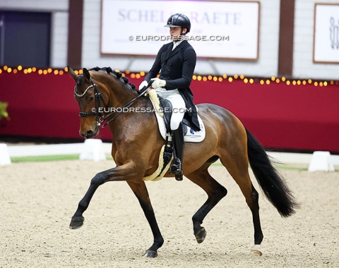 Dutch Brian Barnett on Milli (by Millennium x L'Espoir)