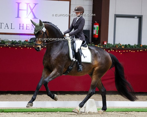 Belgian based Ukrainian Anastasiia Cherdak on Viktoriya Golubyeva's Usain Begijnhoeve (by Le Premier Begijnhoeve x Negro)
