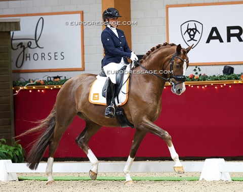 Julia Groenhart on 6-year old Ortisei (by Toto Jr x Dream boy)