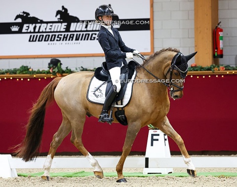 Danish Emily Lee Vestergaard on Coeur de Lion R (by Cosmopolitan x Oosteinds Ricky)
