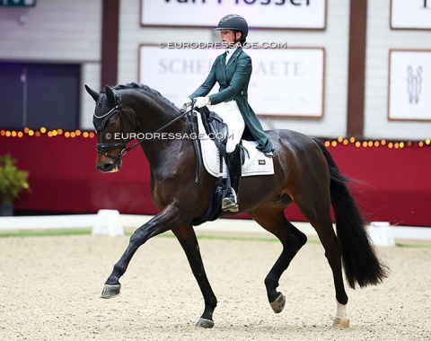 Jaylee Mom on Surabaya (by Sir Donnerhall x Lord Sinclair)