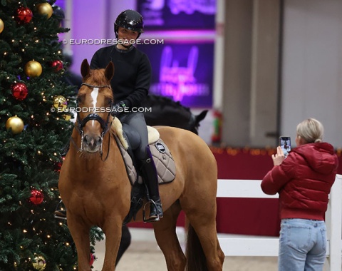 Rowena Weggelaar posing with training horse Lex Luthor (by Ferguson x Goodtimes), previously shown by Dominique Filion
