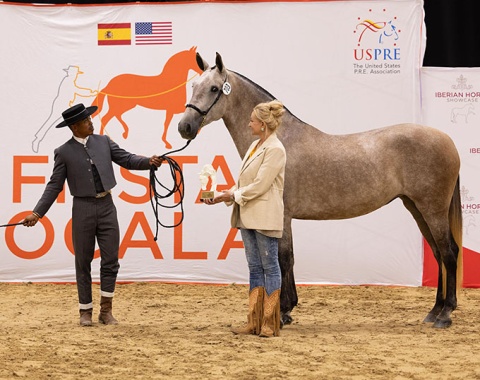Kim van Kampen with mare Evita de Alexander
