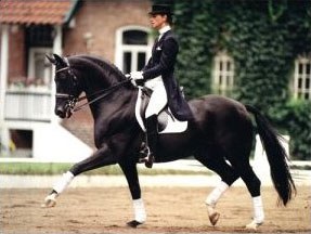 Anja Hermelink on Dream of Glory