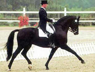 Andreas Platzdasch and Hohenstein
