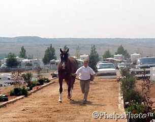 Jonni Adams presents Rousseau at the vet inspection