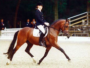 Don Joshi at the 2001 Bundeschampionate