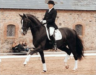 Lars Petersen on Blue Hors Don Schufro