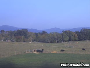 The Virginia scenery on the road to Devon