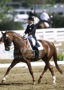 Debbie McDonald and Brentina at the 2001 CDI L.A. :: Photo © Arnd Bronkhorst