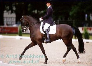 Willem Jan Schotte on Ray of Light :: Photo © Arnd Bronkhorst