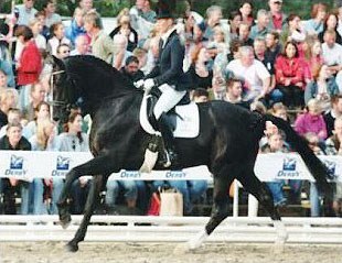 Martina Hannover-Sternberg and Donnerbube III at the 2002 Bundeschampionate