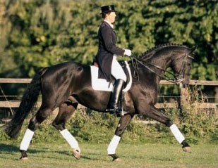 Ellen Bontje on Rubioso N