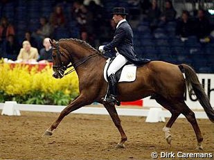 KWPN stallion Kimberly (by Cabochon)