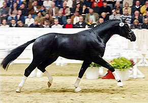 His Highness at the 2002 Hanoverian Stallion Licensing