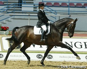 Debbie McDonald on Perry Thomas' Hanoverian Felix (by Fabriano)