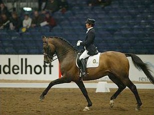 Jeannette Haazen and Rockefeller van de Zelm at the 2002 Zwolle International Stallion Show :: Photo © Dirk Caremans