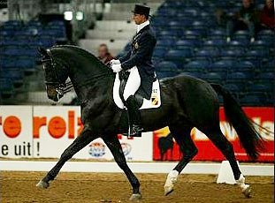 Stefan van Ingelgem and Saros van het Gestelhof Win Big at the 2002 Zwolle International Stallion Show :: Photo © Dirk Caremans