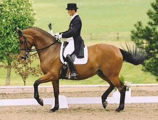 Markus Gribbe on Vechta Price Highlight Wildrose at the 2003 CDN Addington