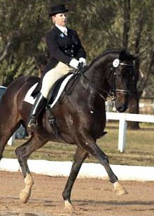 Sue Hearn on Manhattan