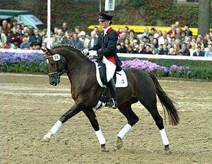 Furst Piccolo at the Warendorf State Stud stallion show