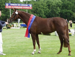 Fabina, champion of the 2003 Oldenburg Elite Mare Show in Rastede