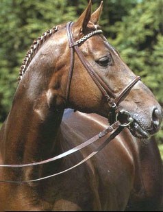 Brentano II