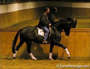 Alain Seheut test riding a young Wolkentanz II offspring