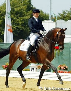 Stefani Hönnemann on the Trakehner licensed stallion Distelzar