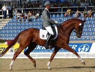 Wolfhard Witte and Worldly at the 2003 World Young Horse Championships :: Photo © Thomas Bach Jensen