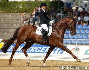 Kira Wulferding on the American owned licensed stallion Rhodes Scholar