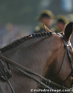 The American colours braided into the man of a horse at Aachen