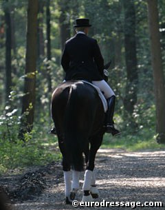 Don Kennedy (Donnerhall x Kennedy) and Anja Engelbart heading towards the show ring through the forest