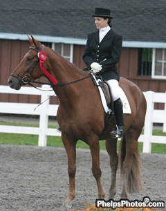 Angela Barilar and Rose Diamant at 2004 Dressage at Devon :: Photo © Astrid Appels for Phelpsphotos.com