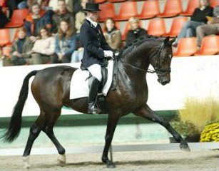 Angelique Hostyn riding Royal Jubilee (by Rohdiamant)