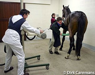 Veterinarians at work at the equine clinic :: Photo © Dirk Caremans