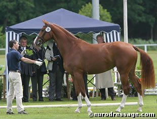 Gran Lacarina at the 2004 Oldenburg Elite Mare Show in Rastede