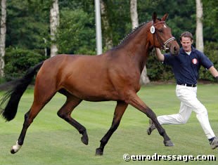 Riwera (by Welt Hit II x Noble Roi xx) at the 2004 Oldenburg Elite Mare Show in Rastede