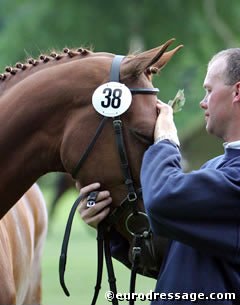 Love Story V appreciative of the cuddles she get from her handler Martin Determann