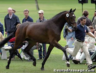 Clemens von Merveldt handling Liberty III (by Sandro Hit x Akzent II)