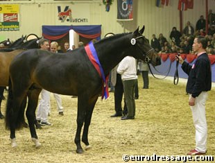 Rene Tebbel with Van the Man, the 2004 Oldenburg Licensing Champion