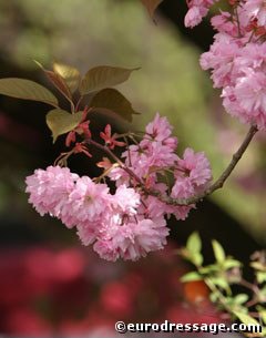 Spring is in the air on this road trip to Vechta