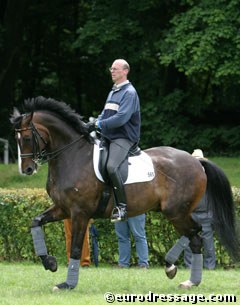 Klaus Husenbeth schooling Piccolino at the 2004 CDI Verden :: Photo © Astrid Appels